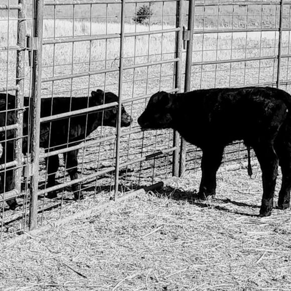 Send me a reasonable offer! Let's do this! (unless it's a handmade item😉)😊📦 - Picture 5 of 10